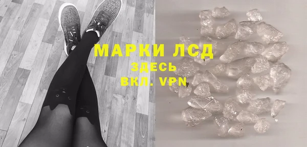крисы Новодвинск