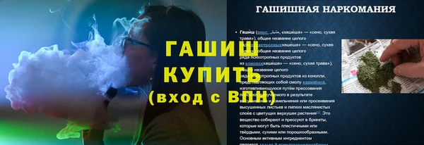 хмурый Новозыбков