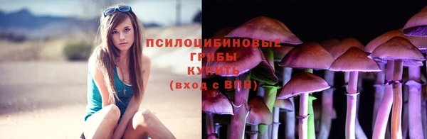 хмурый Новозыбков