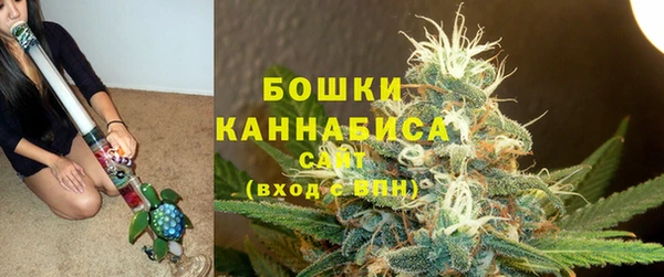 крисы Новодвинск