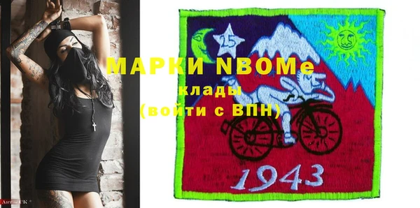 хмурый Новозыбков
