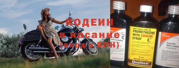 крисы Новодвинск