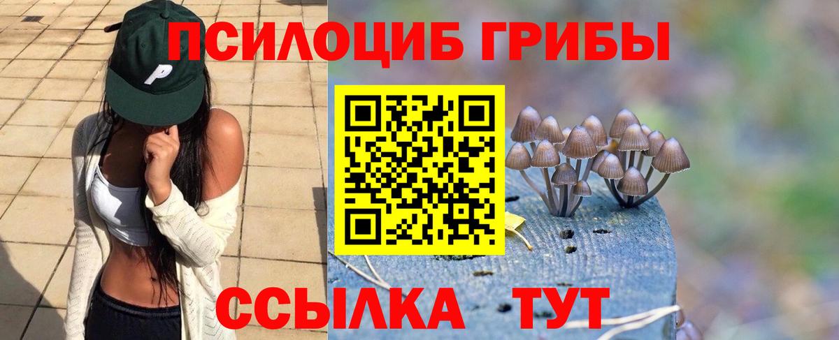 Галлюциногенные грибы Psilocybine cubensis Сарапул