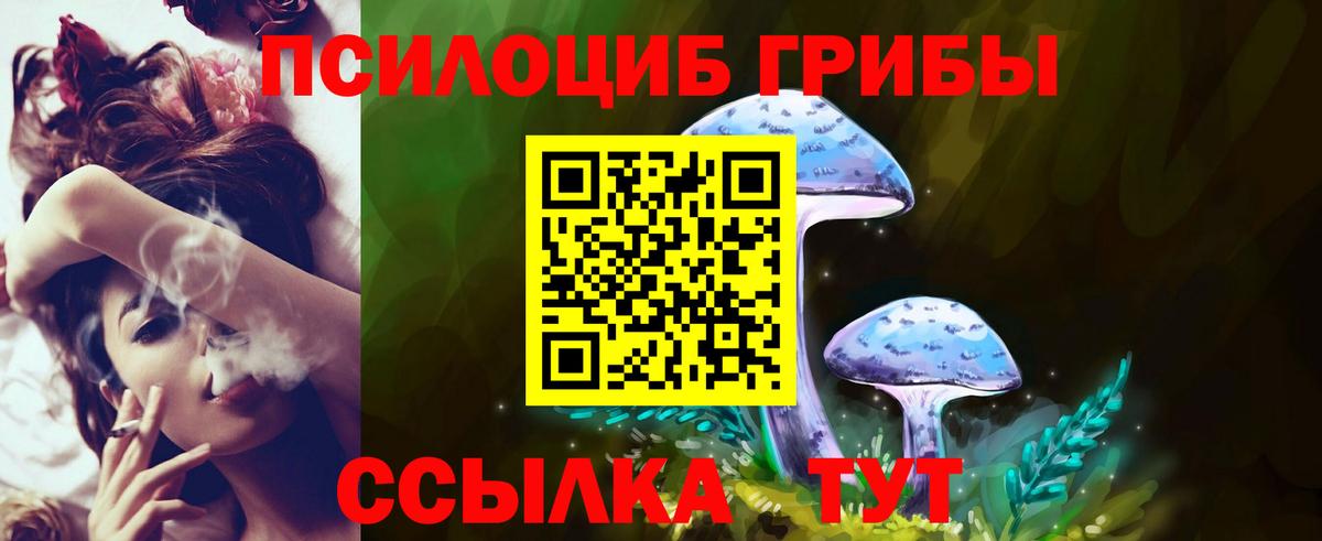 Псилоцибиновые грибы Magic Shrooms Сарапул